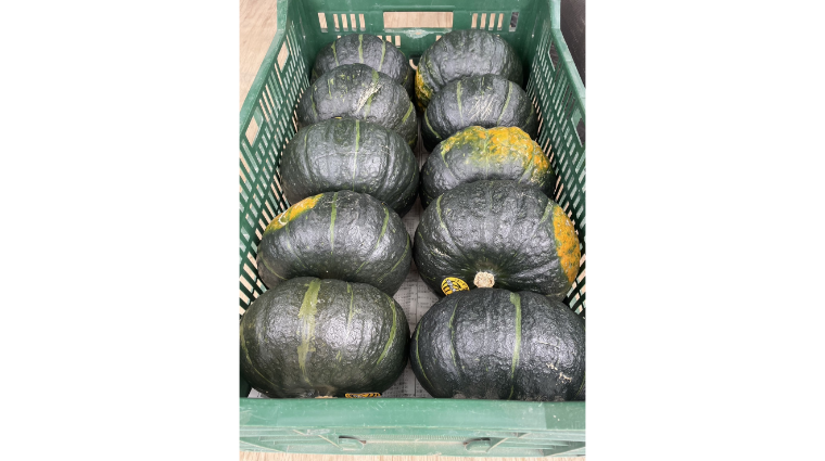 https://kawakamifarm.jp