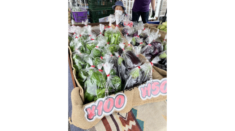 https://kawakamifarm.jp