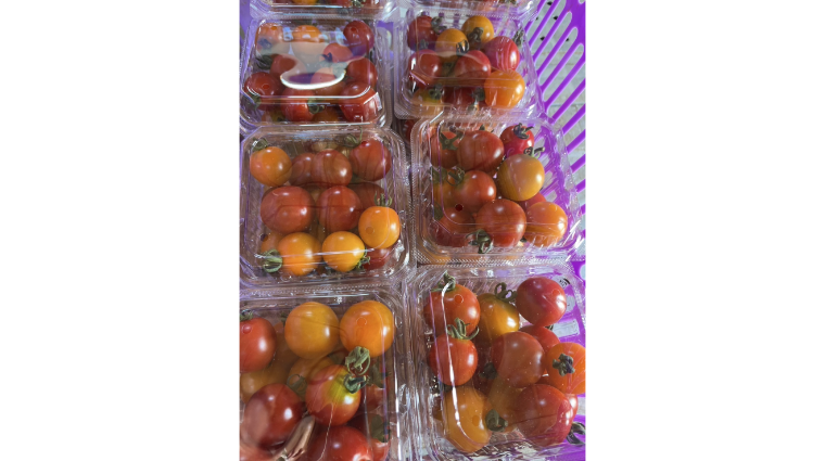 https://kawakamifarm.jp