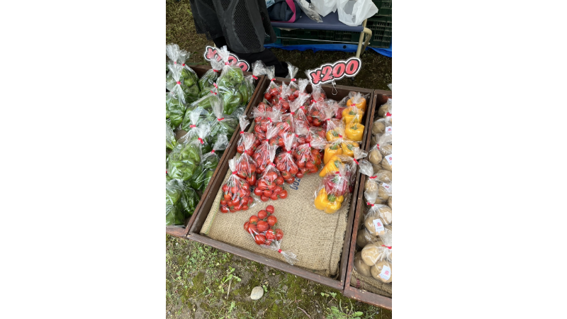 https://kawakamifarm.jp