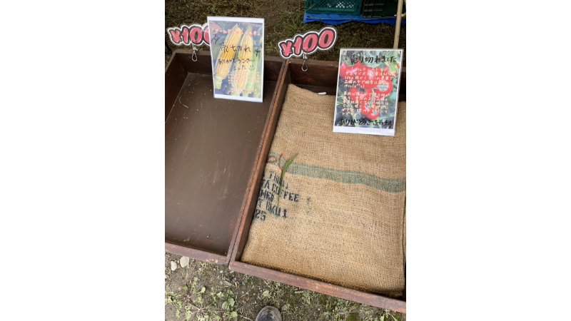 https://kawakamifarm.jp