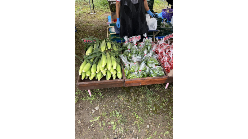 https://kawakamifarm.jp