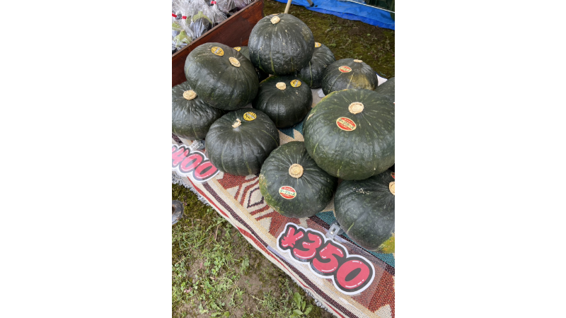 https://kawakamifarm.jp