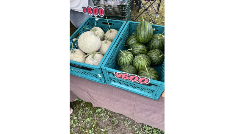 https://kawakamifarm.jp