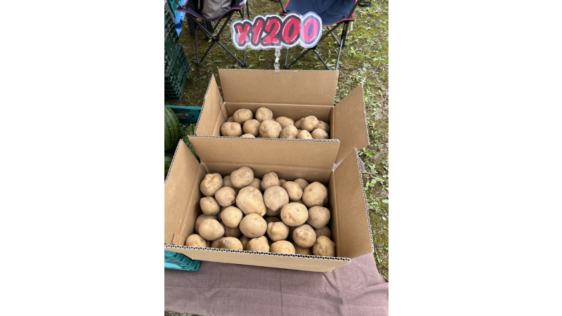 https://kawakamifarm.jp
