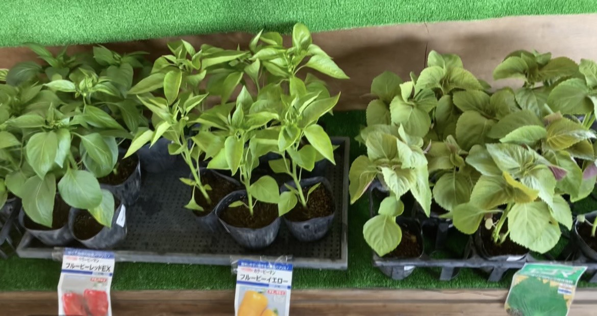 https://kawakamifarm.jp