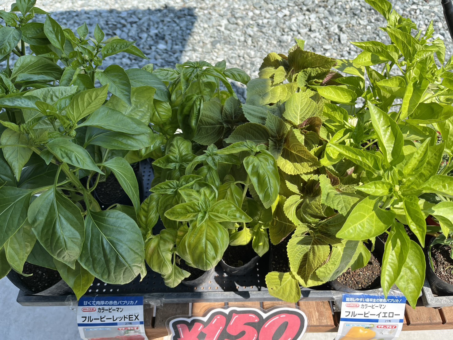 https://kawakamifarm.jp