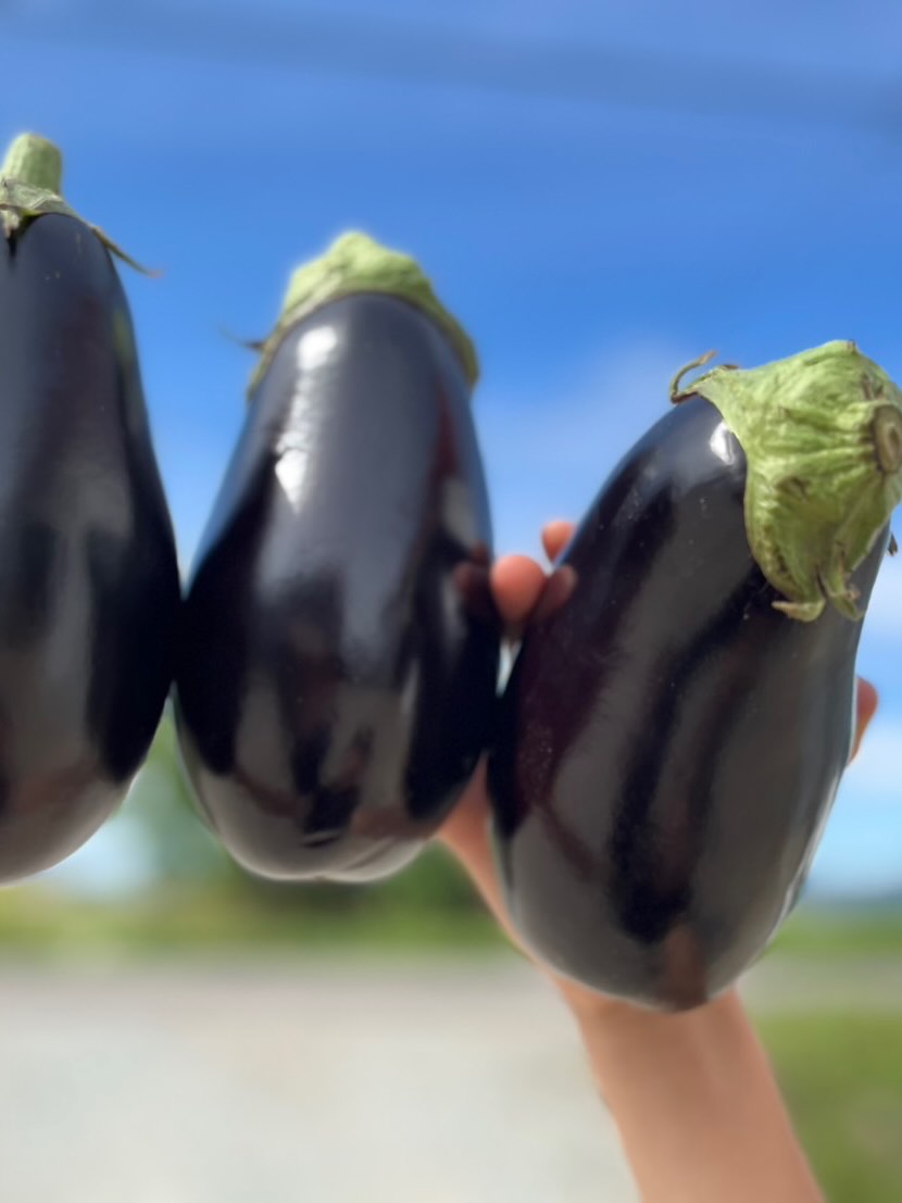 https://kawakamifarm.jp