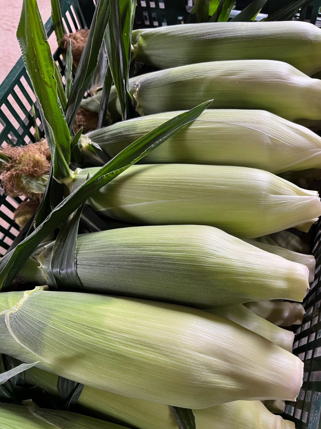 https://kawakamifarm.jp